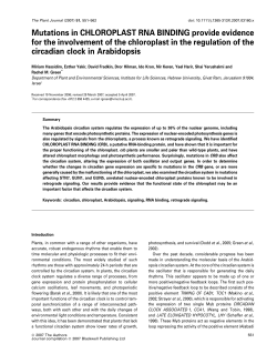Mutations in CHLOROPLAST RNA BINDING provide evidence for