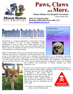 Paws, Claws - Mount Hutton Pet Hospital