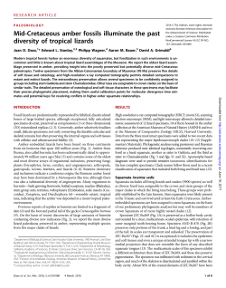 Mid-Cretaceous amber fossils illuminate the past diversity of tropical