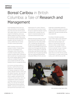 Boreal Caribou in British Columbia: a Tale of Research and