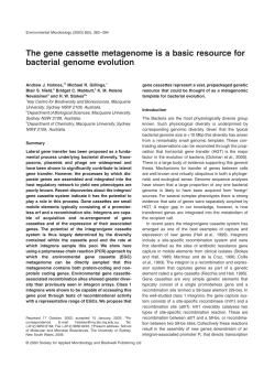 The gene cassette metagenome is a basic resource for bacterial