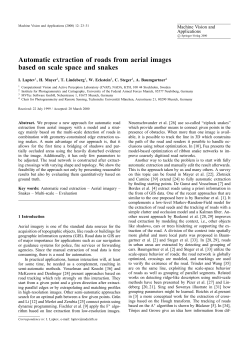 Automatic extraction of roads from aerial images based on scale
