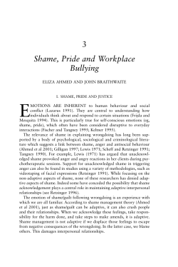 Shame, Pride and Workplace Bullying
