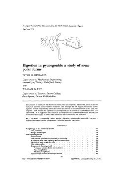 Digestion in pycnogonids: a study of some polar