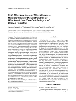 Both Microtubules and Microfilaments Mutually