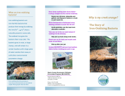 The story of iron-oxidizing bacteria