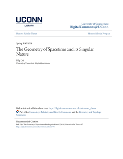 The Geometry of Spacetime and its Singular Nature
