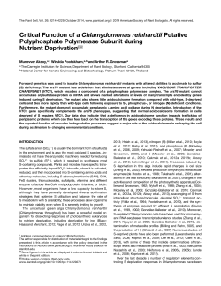 Critical Function of a Chlamydomonas reinhardtii