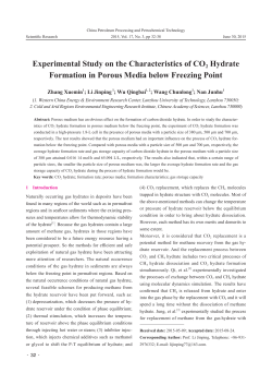 Experimental Study on the Characteristics of CO2 Hydrate