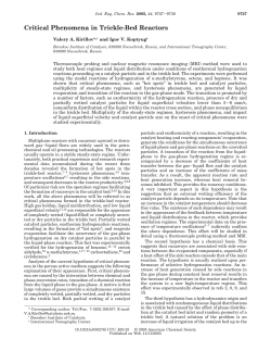 Critical Phenomena in Trickle-Bed Reactors