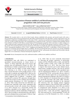 Expansion of human umbilical cord blood