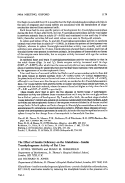 The Effect of Insulin Deficiency on the Glutathione