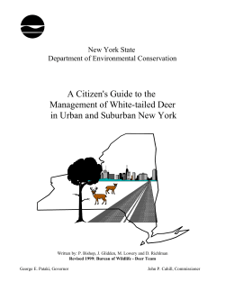 A Citizen`s Guide to the Management of White