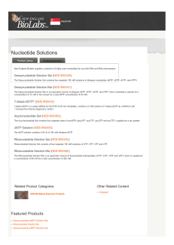 Nucleotide Solutions Information | New England Biolabs