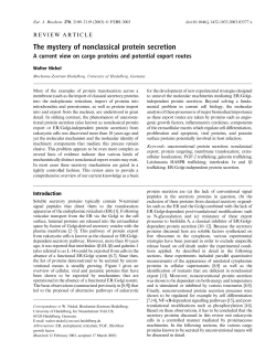 The mystery of nonclassical protein secretion