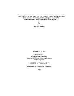 as a PDF