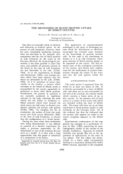 the mechanism of blood protein uptake by insect oocytes