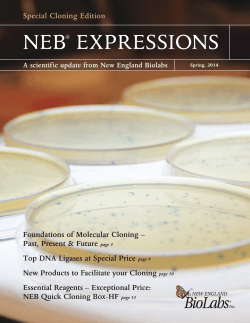 neb&reg; expressions