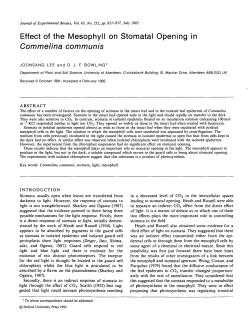Effect of the Mesophyll on Stomatal Opening in Commelina