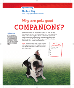 companions? - Breathitt County Schools