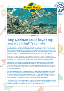 Tiny plankton could have a big impact on Earth`s climate