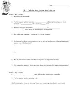 Ch. 7 Cellular Respiration Study Guide