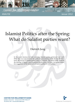 Islamist Politics after the Spring: What do Salafist parties want?