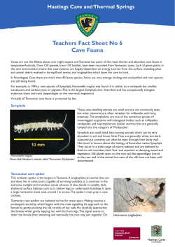 Cave Fauna - Tasmania Parks and Wildlife