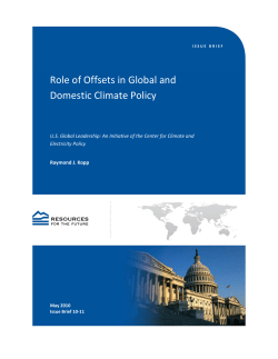 Role of Offsets in Global and Domestic Climate Policy