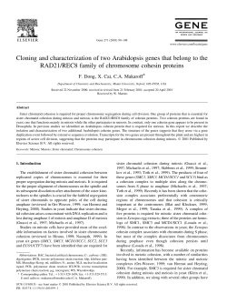 Cloning and characterization of two Arabidopsis genes that belong
