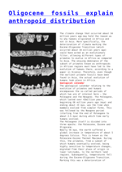 Oligocene fossils explain anthropoid distribution