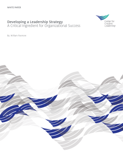 Developing a Leadership Strategy