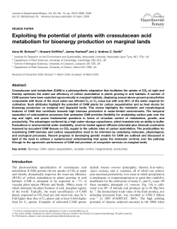 Exploiting the potential of plants with