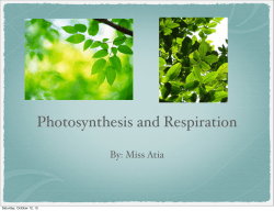 Photosynthesis and Respiration
