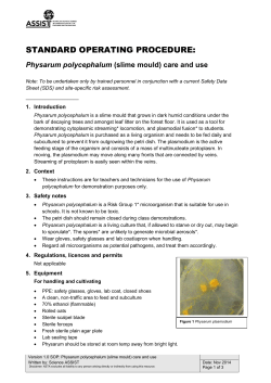 (slime mould) care and use