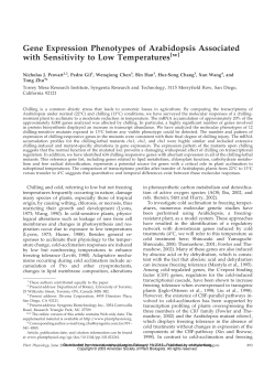 Gene Expression Phenotypes of Arabidopsis Associated with
