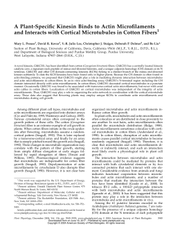 A Plant-Specific Kinesin Binds to Actin Microfilaments and Interacts