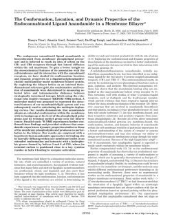The Conformation, Location, and Dynamic Properties of the