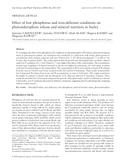 Effect of low phosphorus and iron