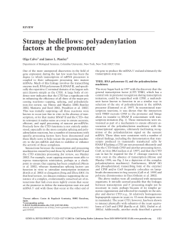 Review on Polyadenylation and Promoter