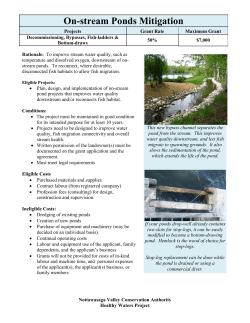 On-stream Ponds - Bypasses- Bottomdraws -Fishways