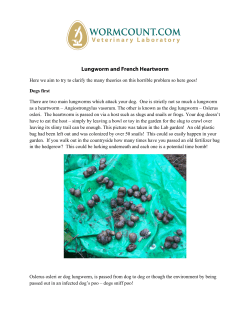 Lungworm and French Heartworm