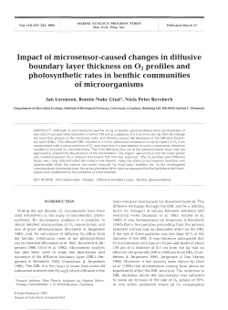 Full text in pdf format