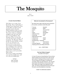 The Mosquito - Camp Manitou