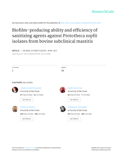 Biofilm-producing ability and efficiency of sanitizing