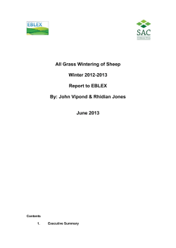 All Grass Wintering of Sheep Winter 2012