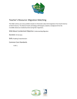 Migration Matching - Bayshore Center At Bivalve