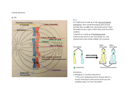 Concept Questions: pg 266: 6) a) b) A haploid set is made up