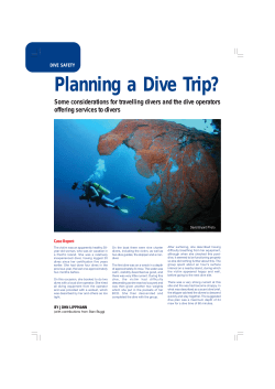 Planning a Dive Trip?