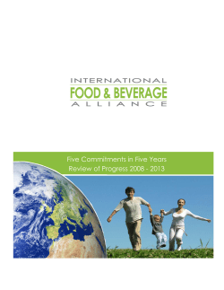 Five Commitments in Five Years Review of Progress 2008